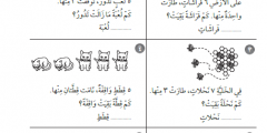 تحميل مباشر كتاب التمارين مادة رياضيات الصف ألأول الإبتدائي الفصل الثاني جديد 2